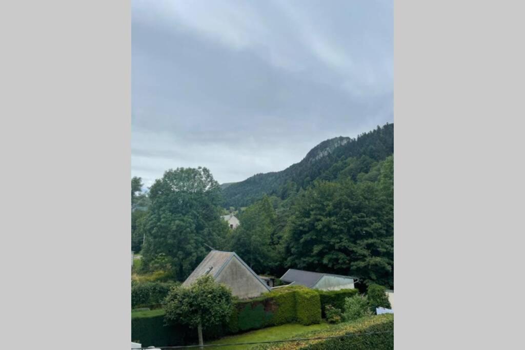 Appartement Les oiseaux T2 à Le Mont-Dore Extérieur photo